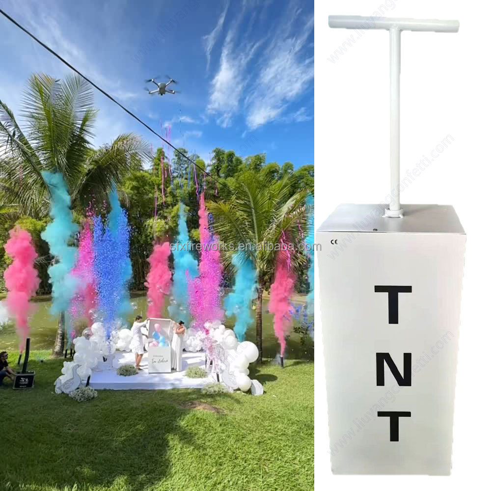 Electric Gender Reveal Smoke B - Confetti Cannon Tube 评论和价格