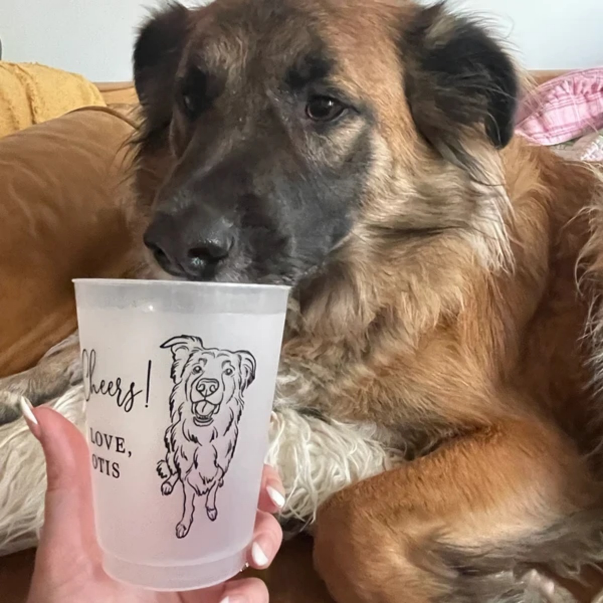 10/50 Custom Dog Cat Pet Portr - Plastic Cup 50Pcs 评论和价格